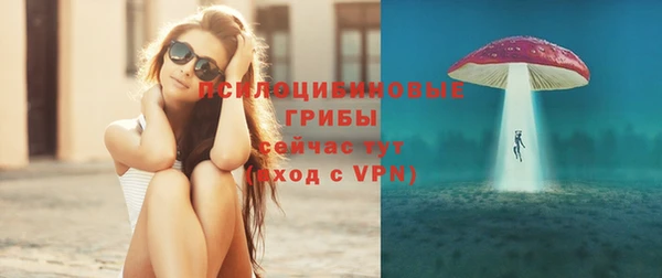 а пвп мука Аркадак
