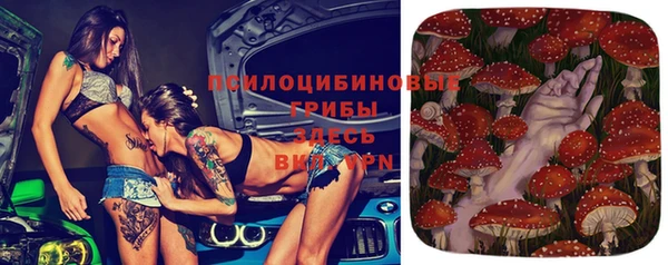 эйфоретик Арсеньев