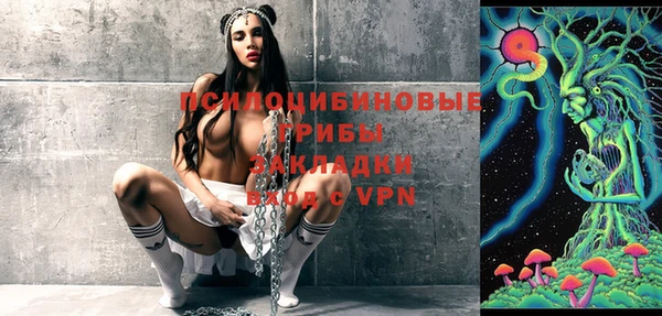 эйфоретик Арсеньев