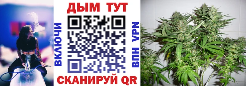 Шишки марихуана VHQ  Собинка 